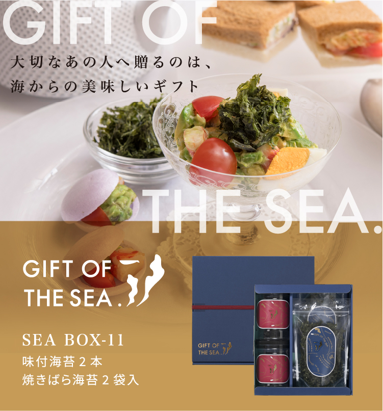 GIFT OF THE SEA.ڤʤΤҤȤ£Τϡ̣եȡSEA BOX-11̣ճ2ܡƤФ鳤2