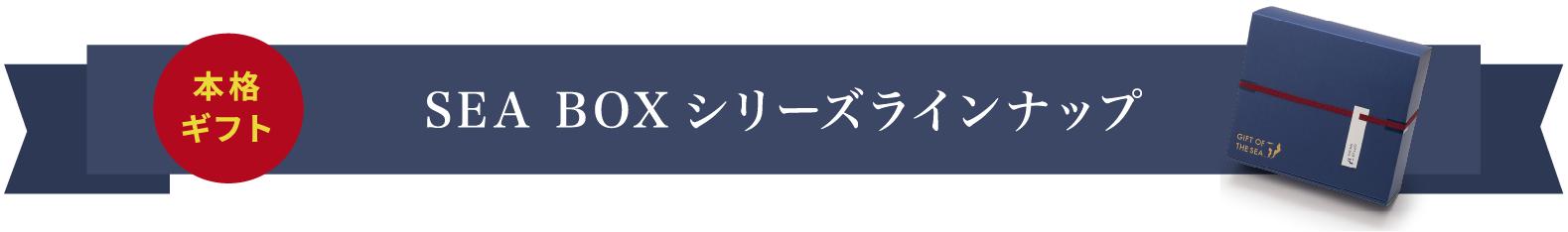 SEA BOX꡼饤ʥå